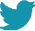 Social Icon